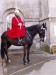 Londýn - Horse Guard